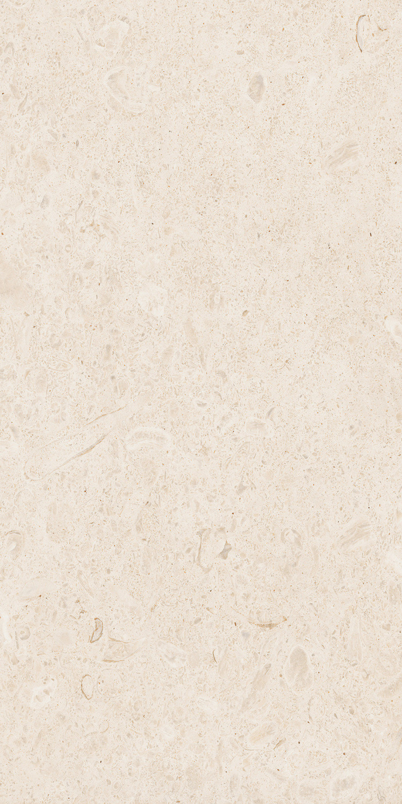 ETERNA blanco 60x120 U55M 8