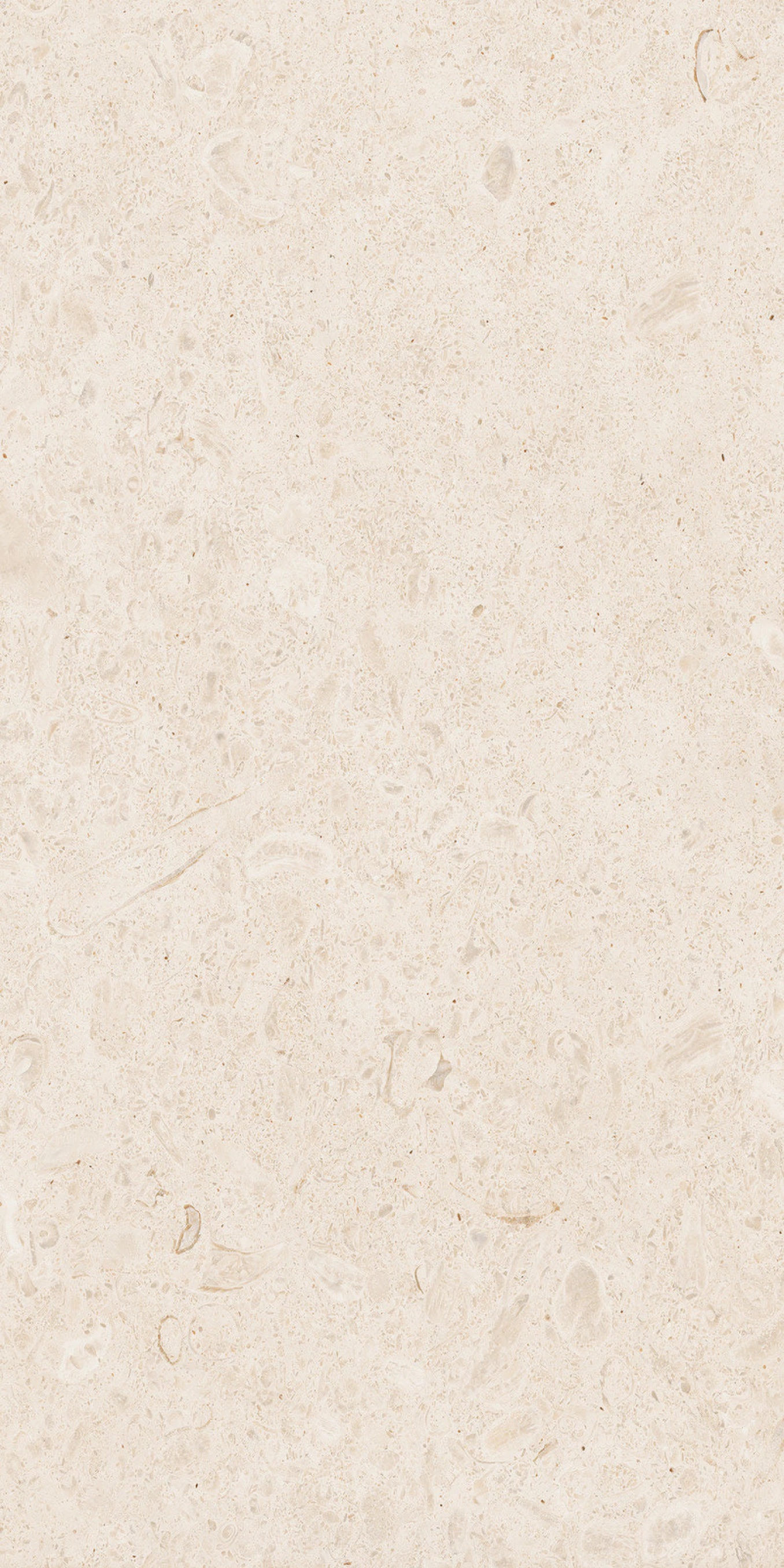 ETERNA blanco 60x120 U55M 8