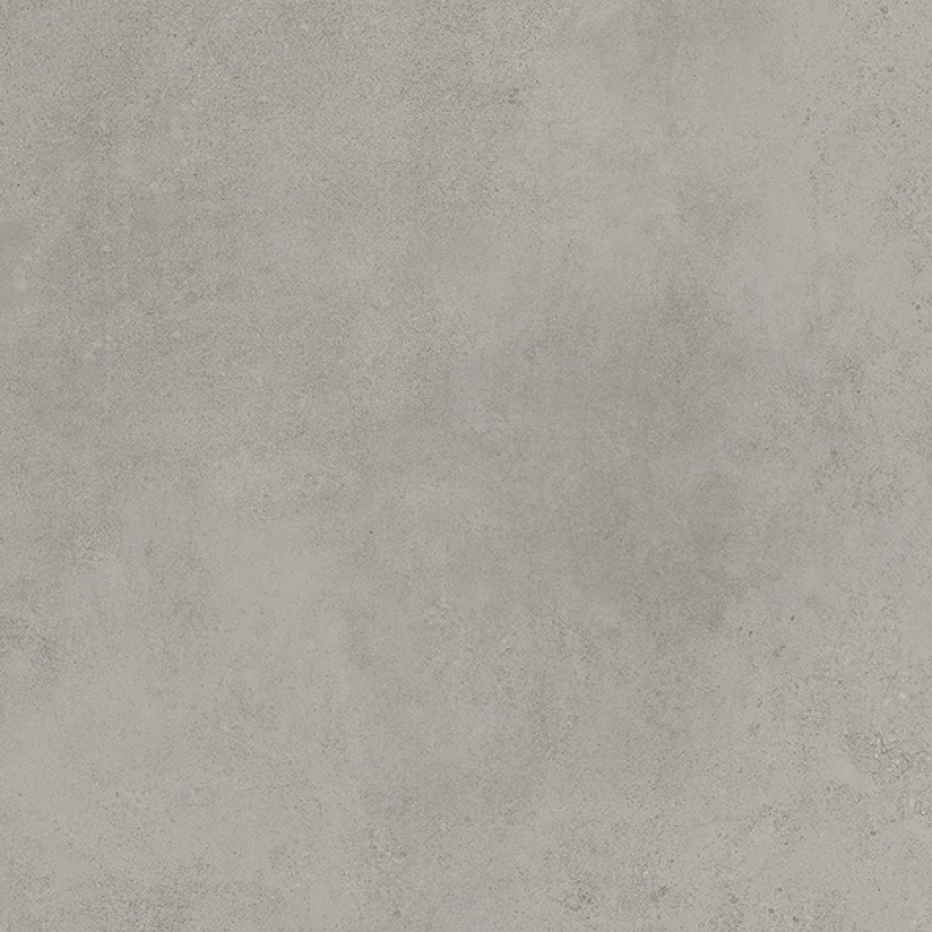 ABSOLUTE cement grey 80x80 rett F48 7