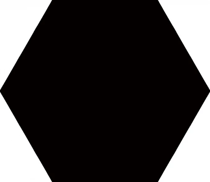 BLACK hexagon 22.5x25.9 874 D (P)