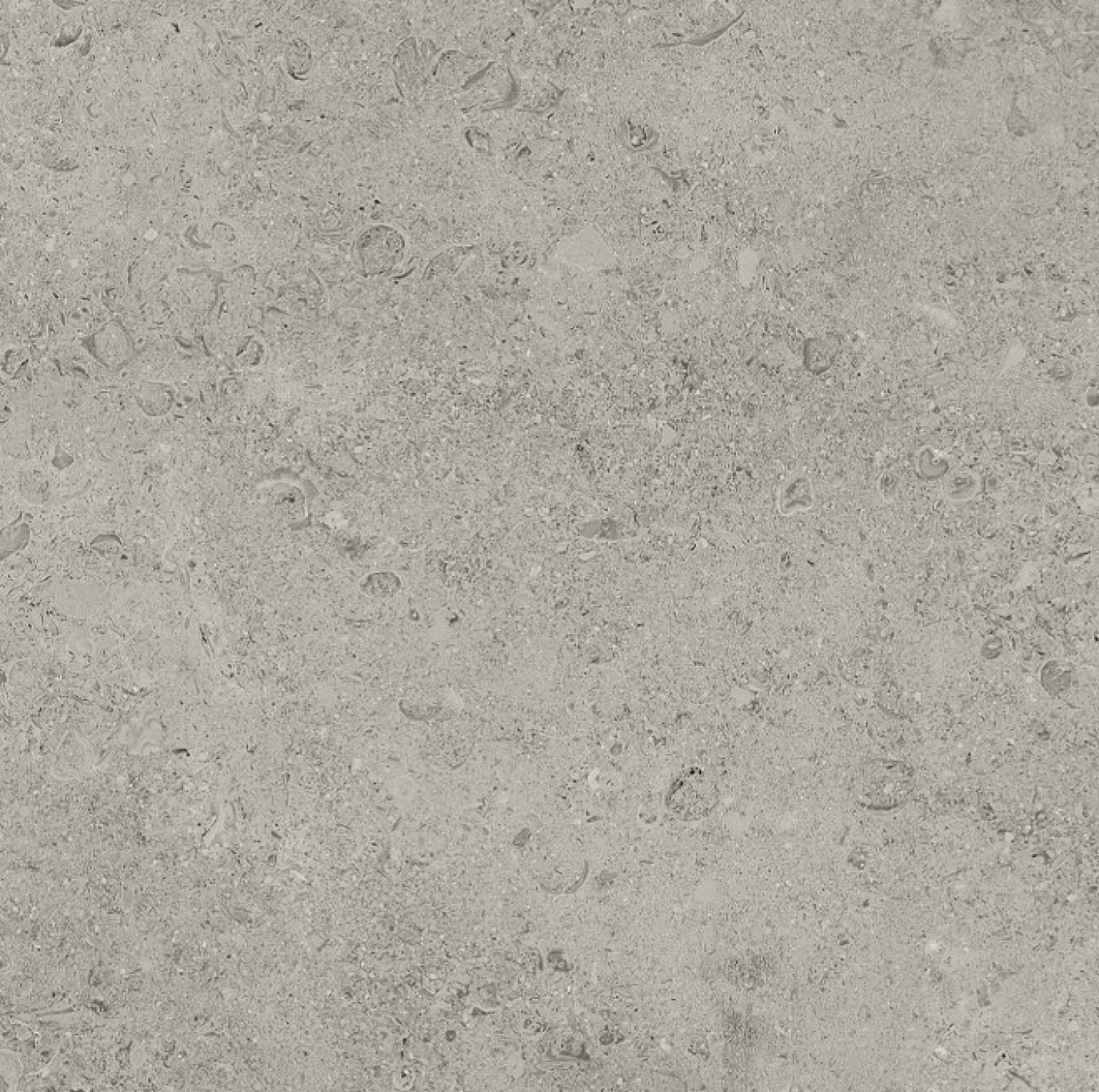 SHELLSTONE grey 60x60 rett AN51 7