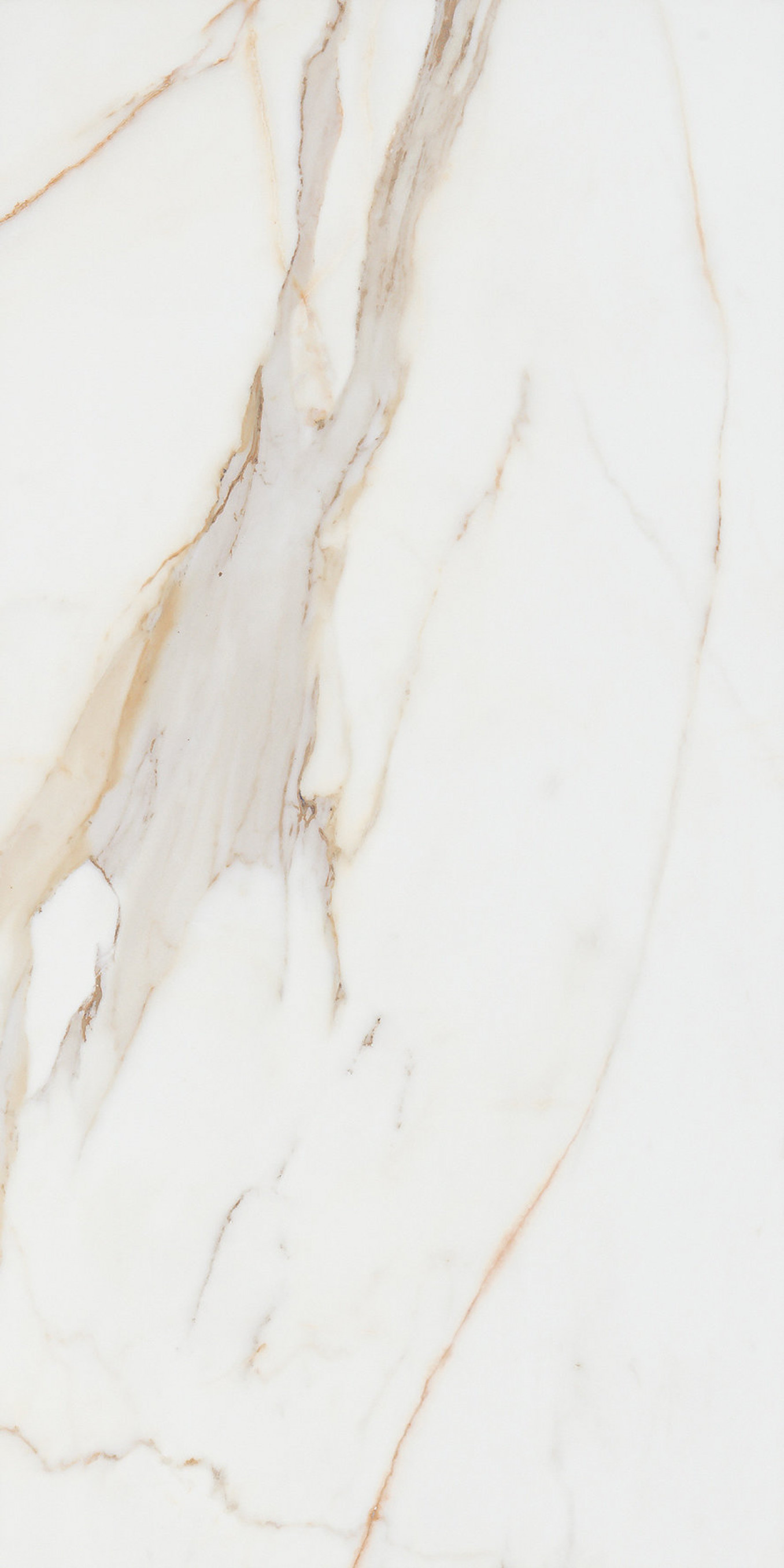 CALACATA gold lev 60x120 rett H5 44 (P/Z)