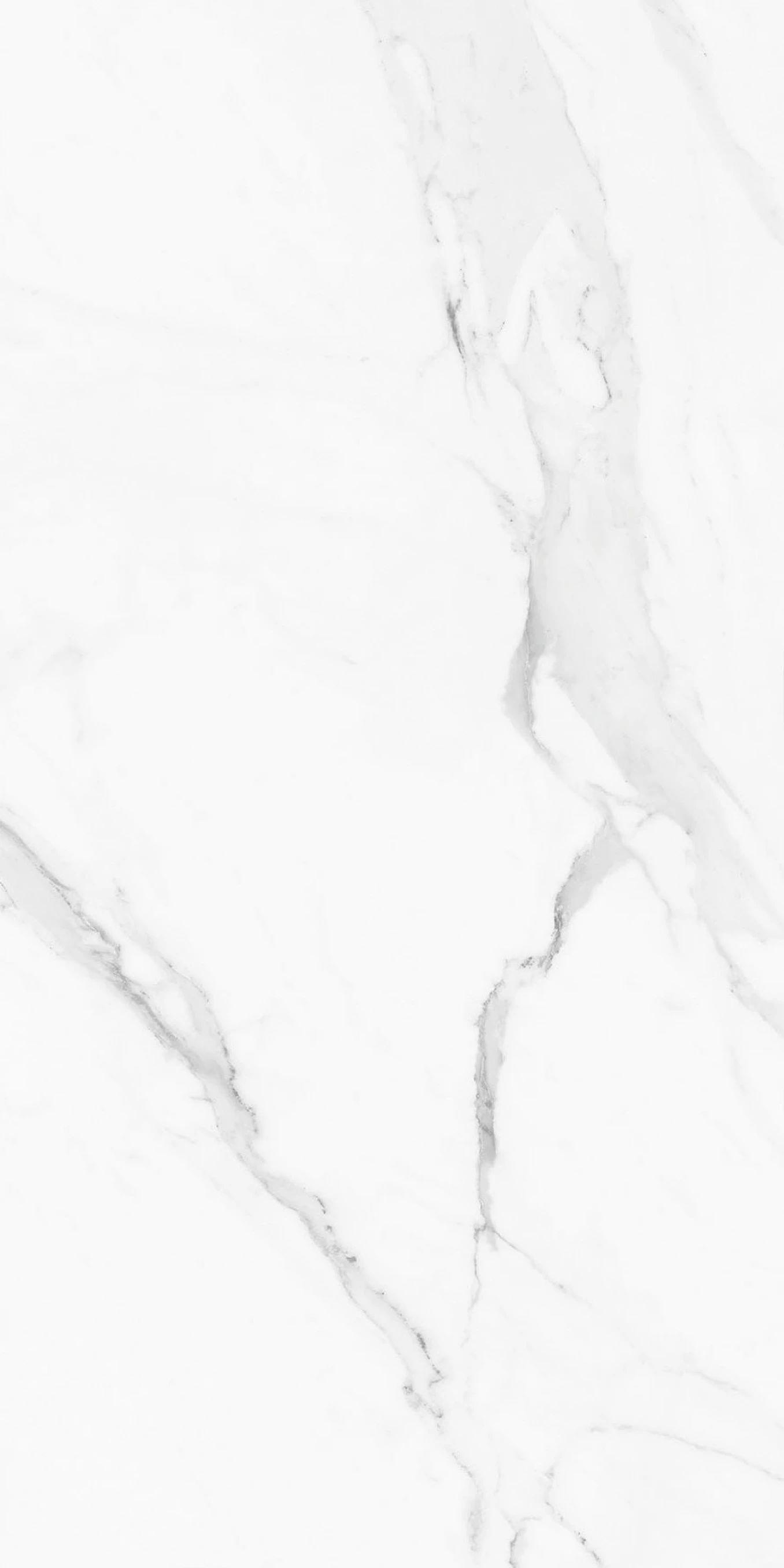 CALACATA white mate 60x120 MJ5 44 (P/Z)