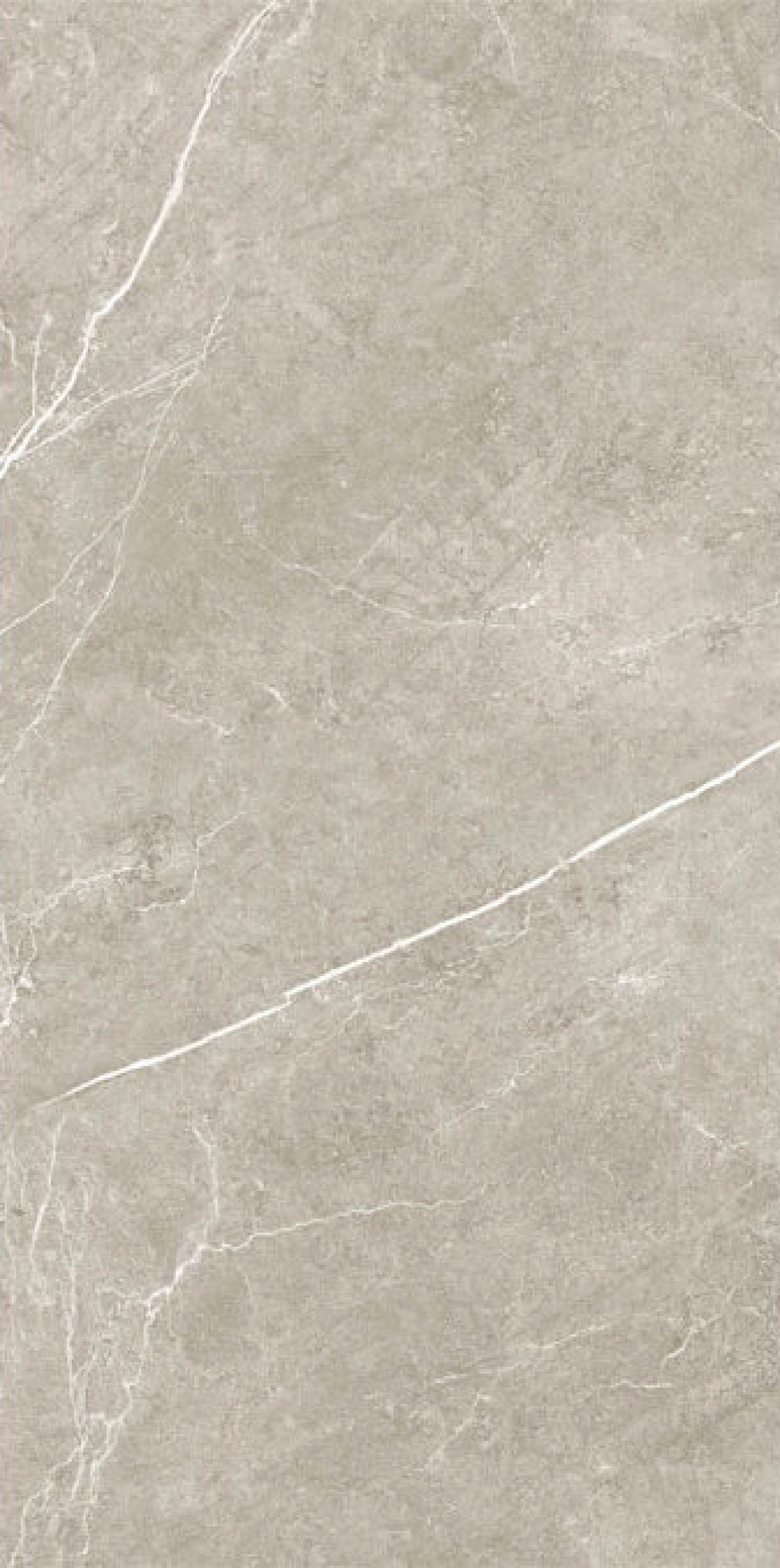 NIVAL gris mate 60x120 rett NA10 0E (P)