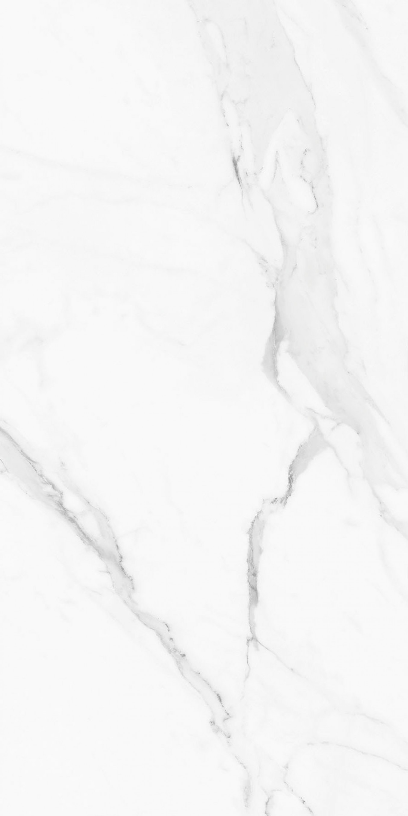 CALACATA white lev 60x120 rett MJ6 44 (P/Z)