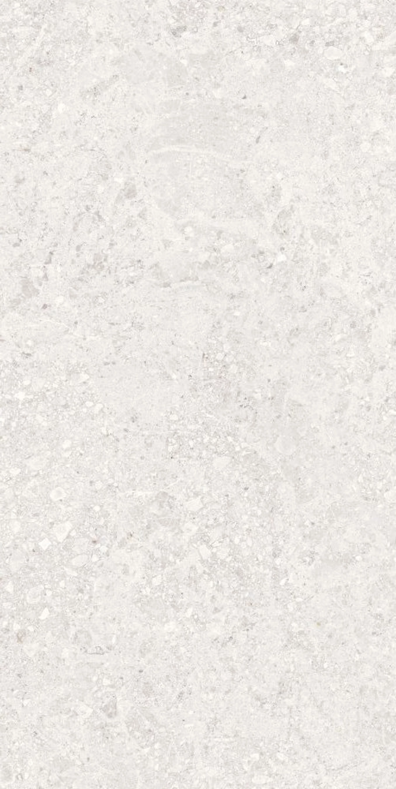 COBB light 60x120 rett