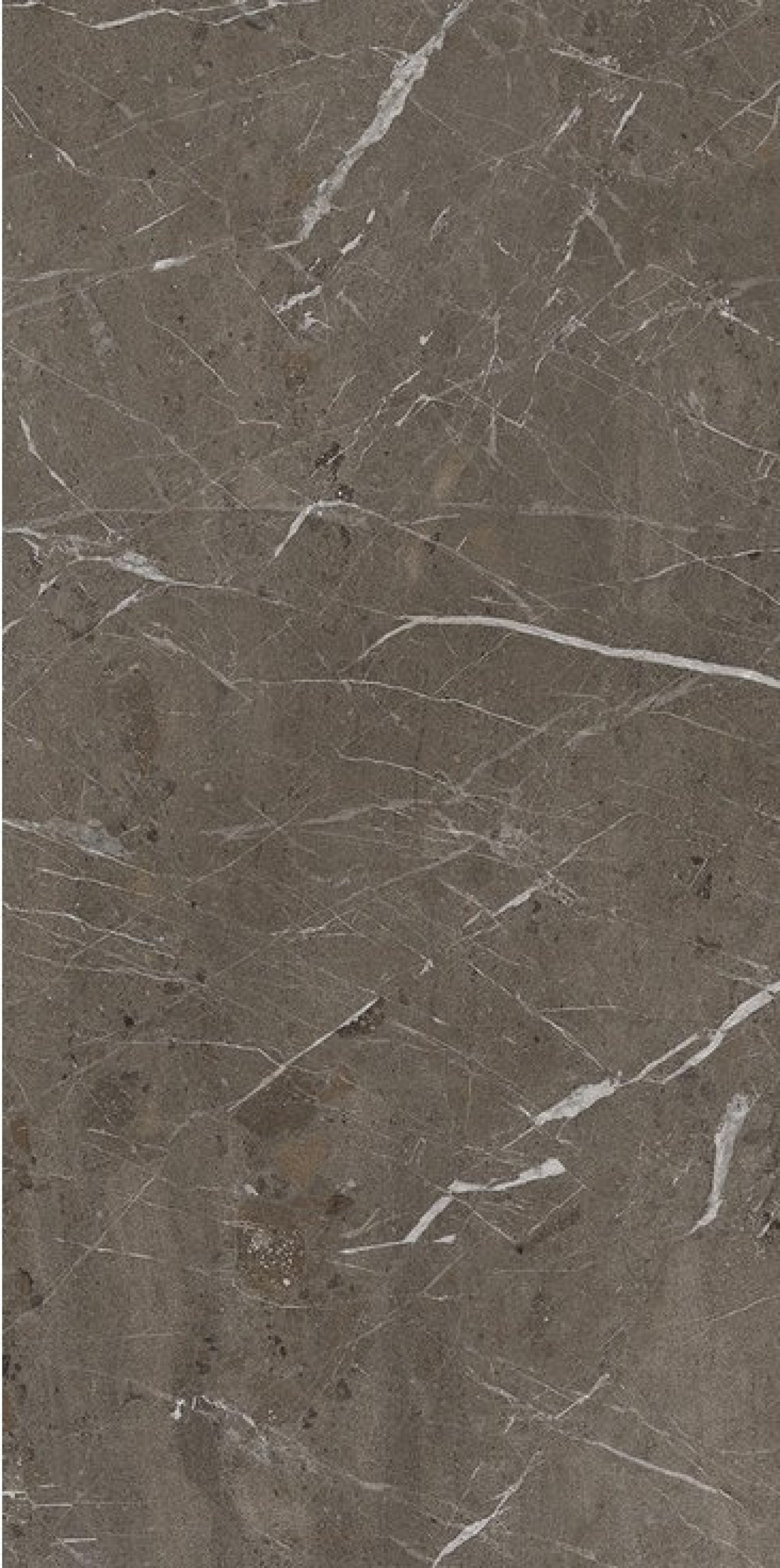 THE ROCK BREIMP6 278 RM 120x278 rett