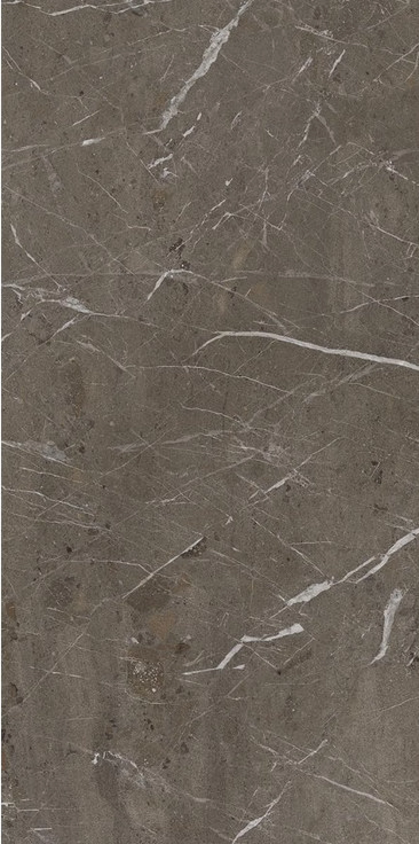 THE ROCK BREIMP6 278 RM 120x278 rett