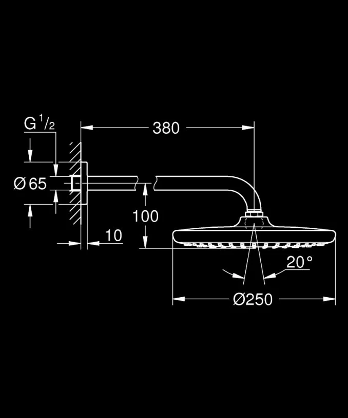 Ruža tuša sa držačem GROHE TEMPESTA 250. 380mm