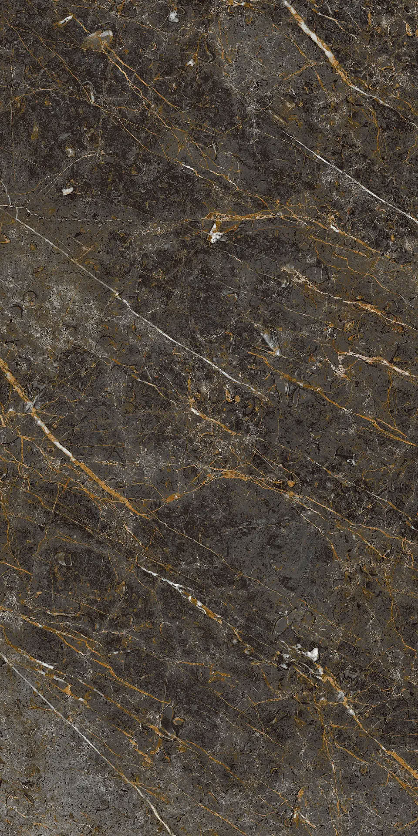 AESTHETICA AE GOL6 278 LP 120x278 rett