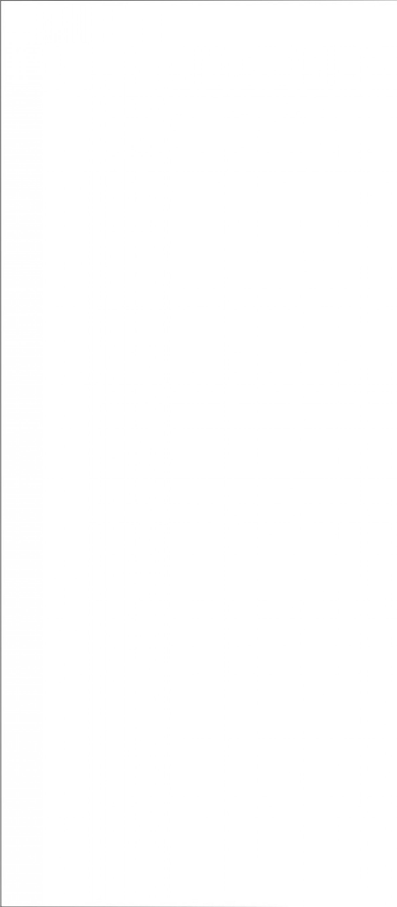 MONOLOOK white matt 59.8x119.8 rett A2