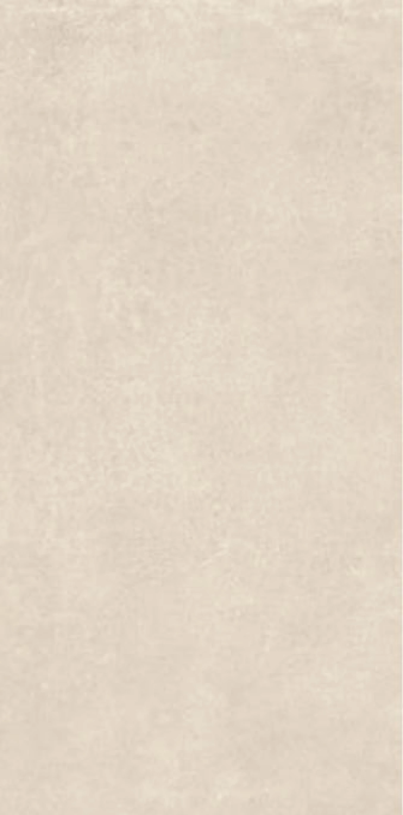 CEMENT VIBES calce solid nat 60x120 rett B49