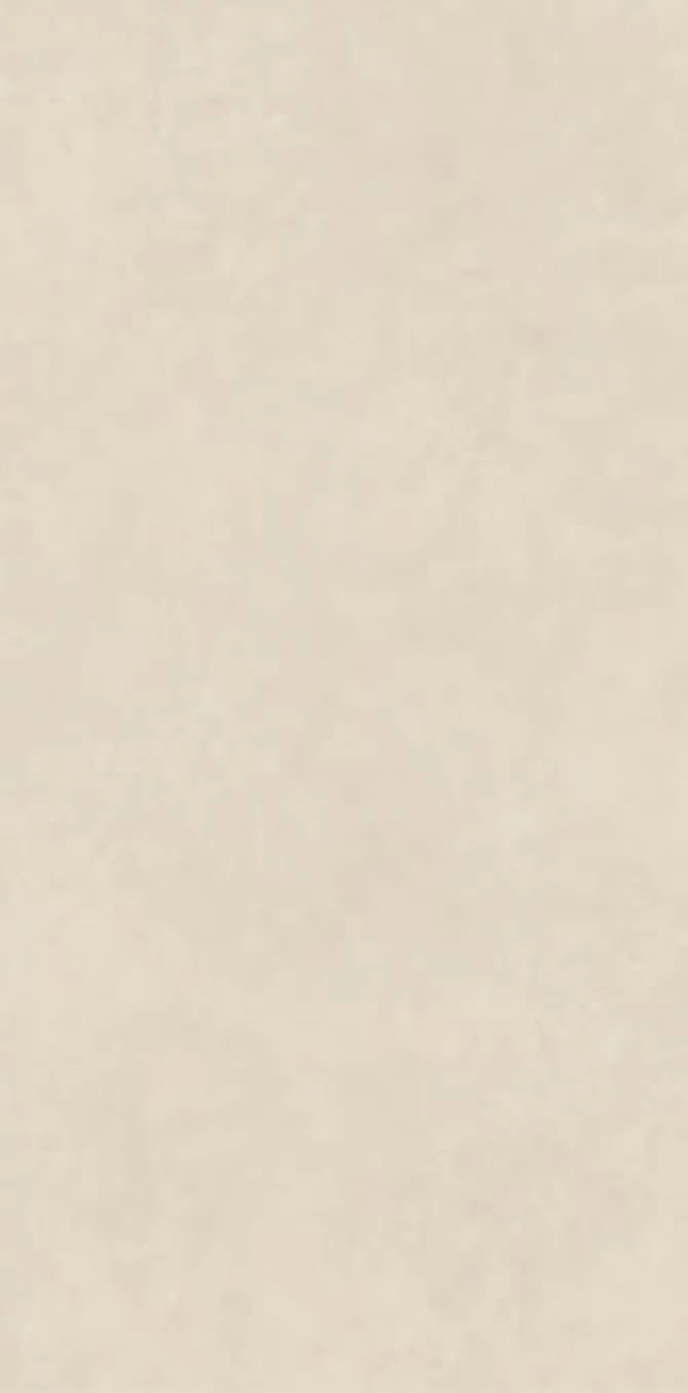 CEMENT VIBES calce resin nat 60x120 rett C48