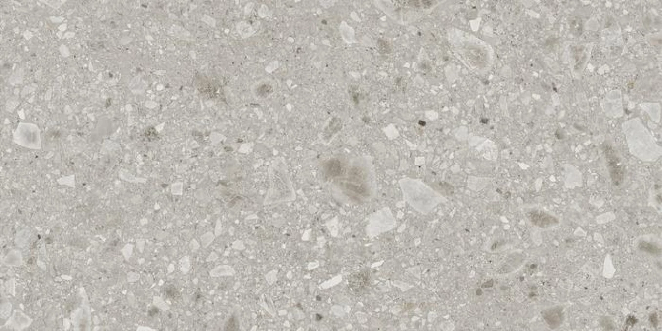 REALSTONE ceppo beige 60x120 rett C10 8