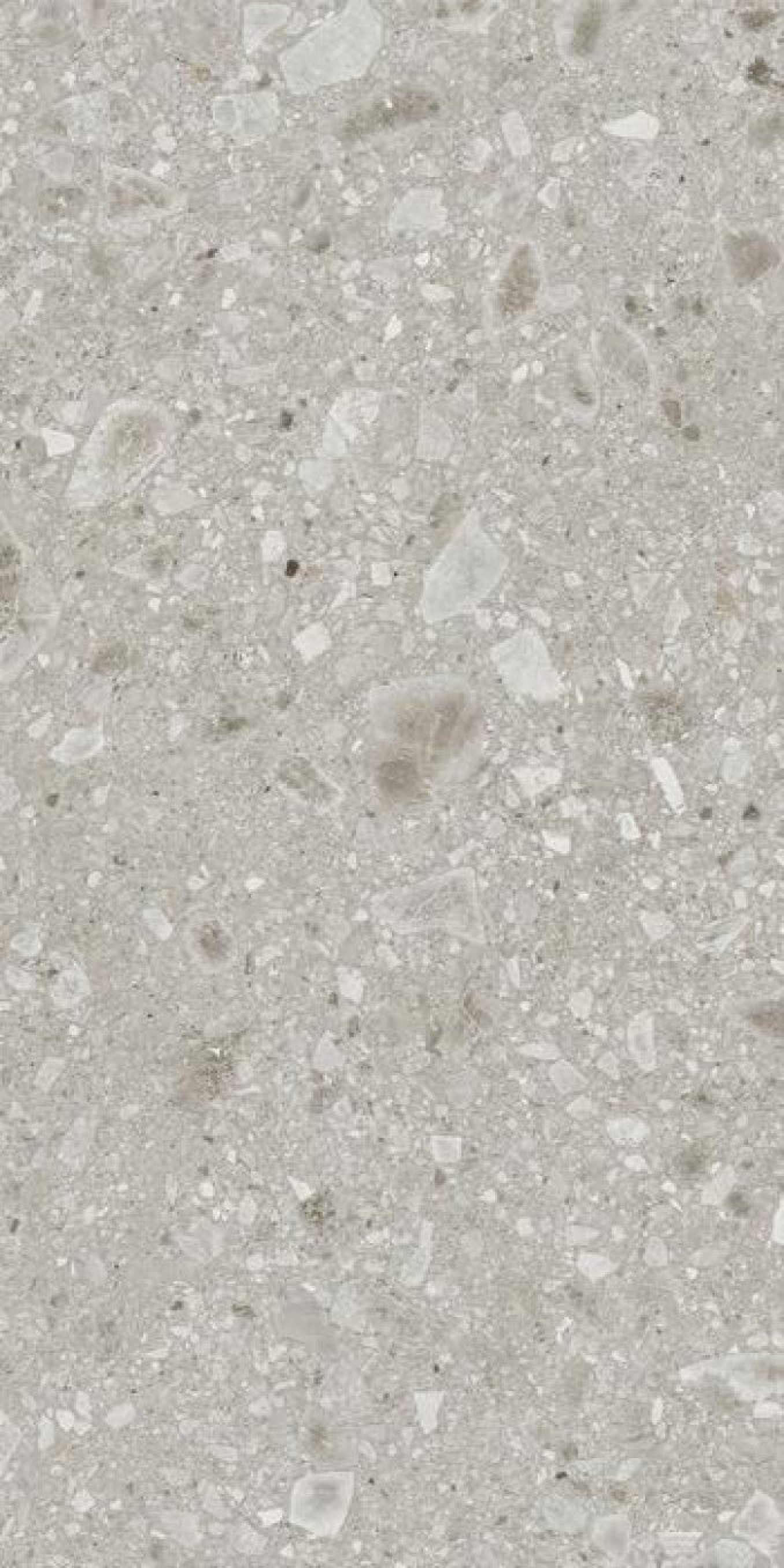 REALSTONE ceppo beige 60x120 rett C10 8