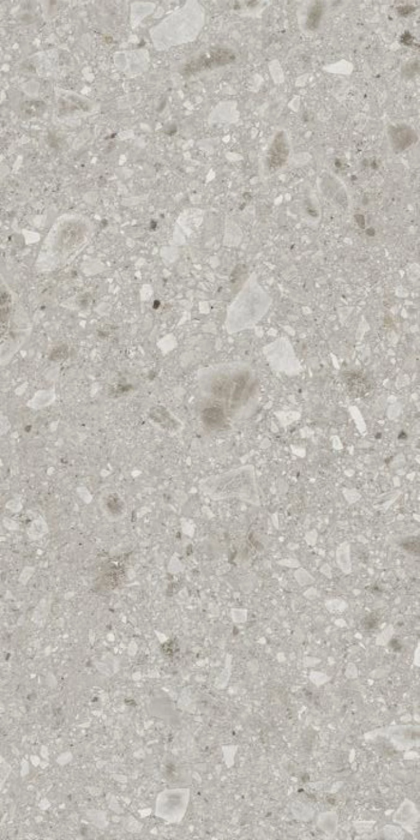 REALSTONE ceppo beige 60x120 rett C10 8