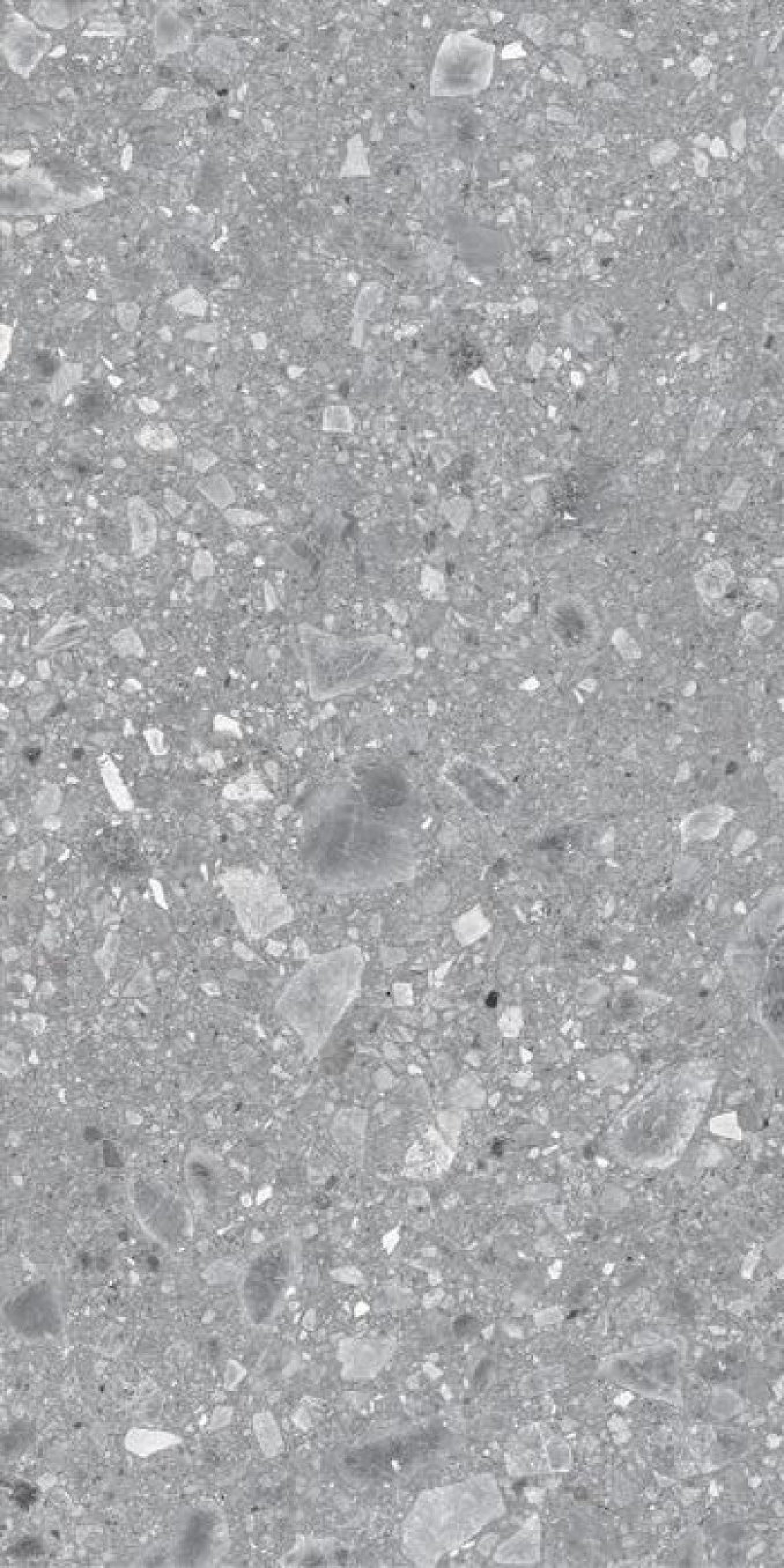 REALSTONE ceppo grigio 60x120 rett A11 8