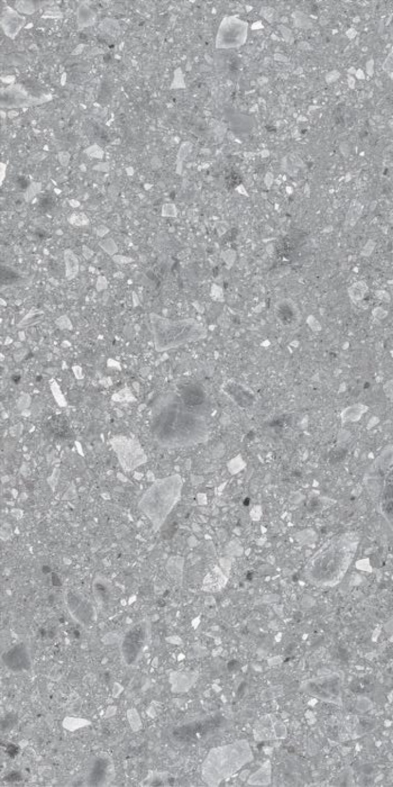 REALSTONE ceppo grigio 60x120 rett A11 8