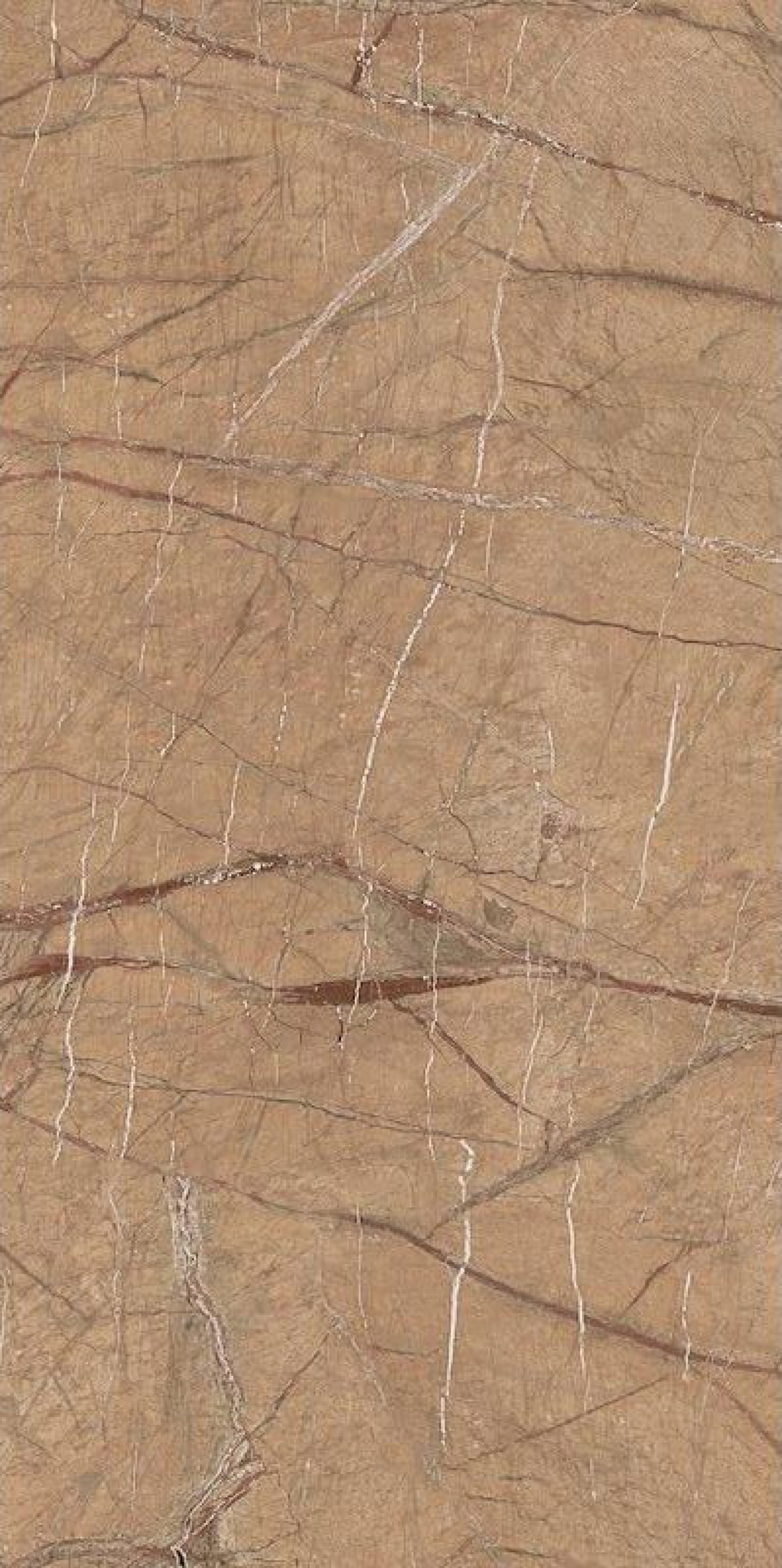 THE ROCK FOGOLD 12 RM 60x120