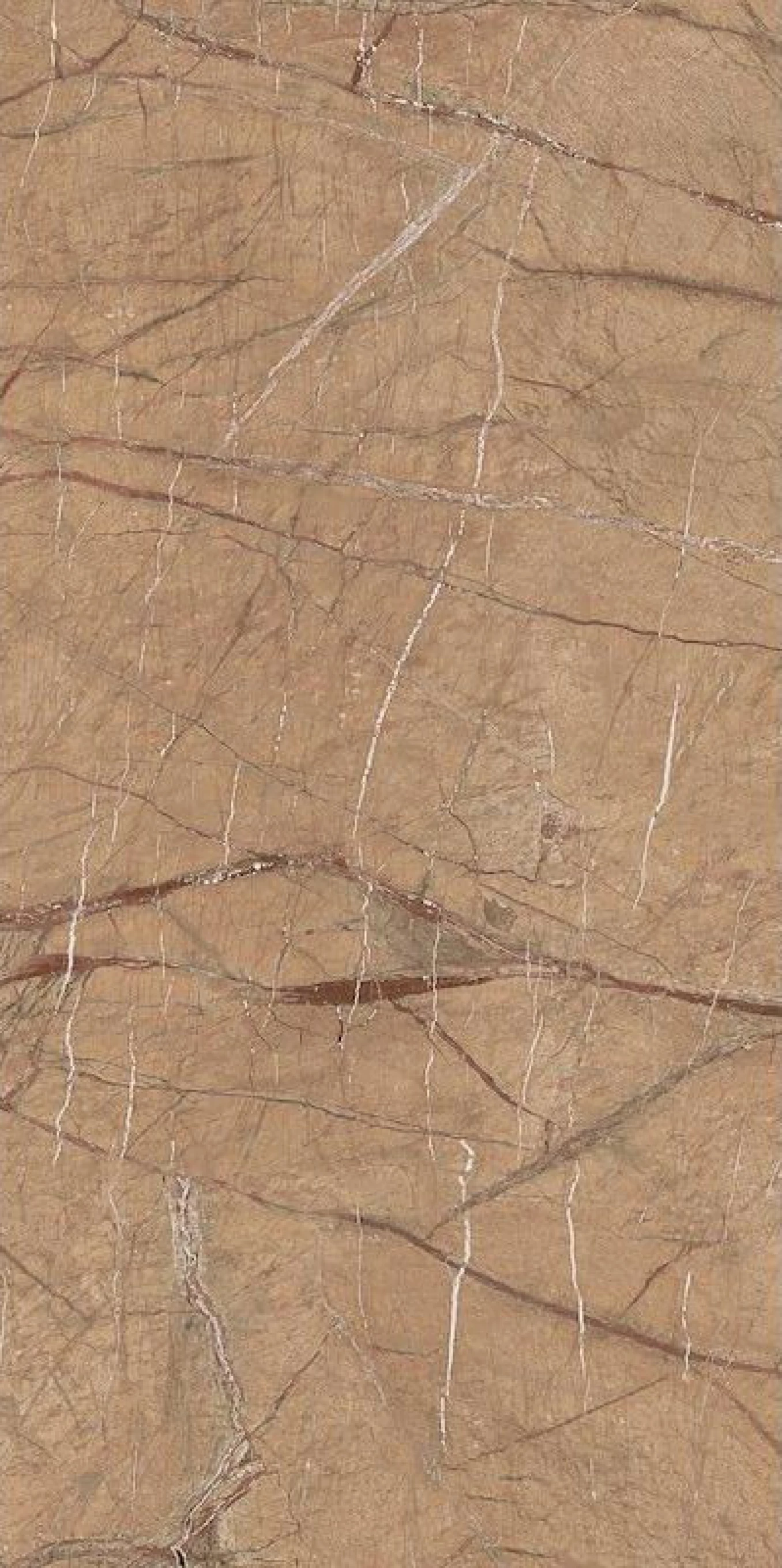 THE ROCK FOGOLD 12 RM 60x120