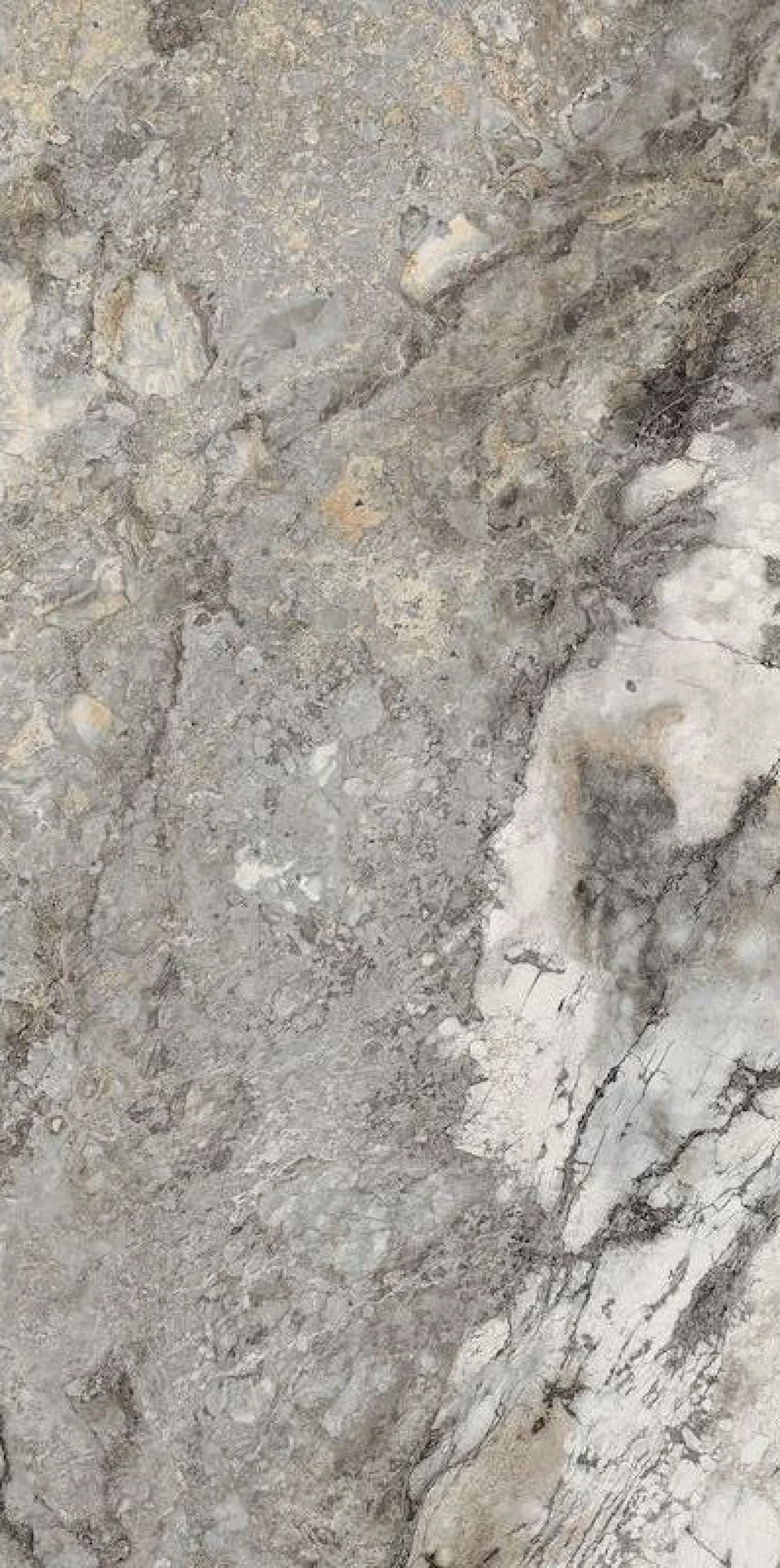 THE ROCK GREINV6 12 RM 60x120