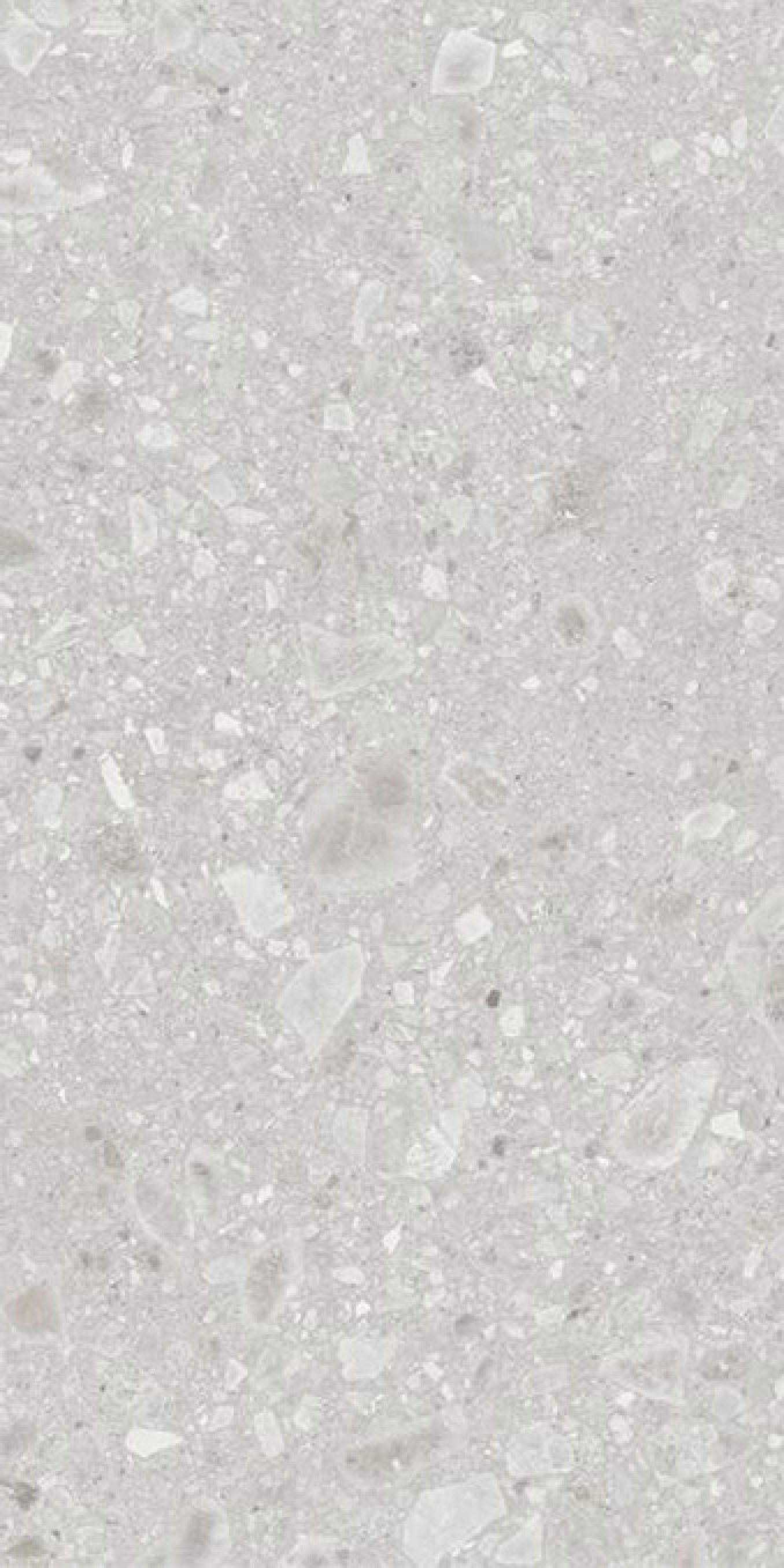 REALSTONE CEPPO bianco 60x120 rett