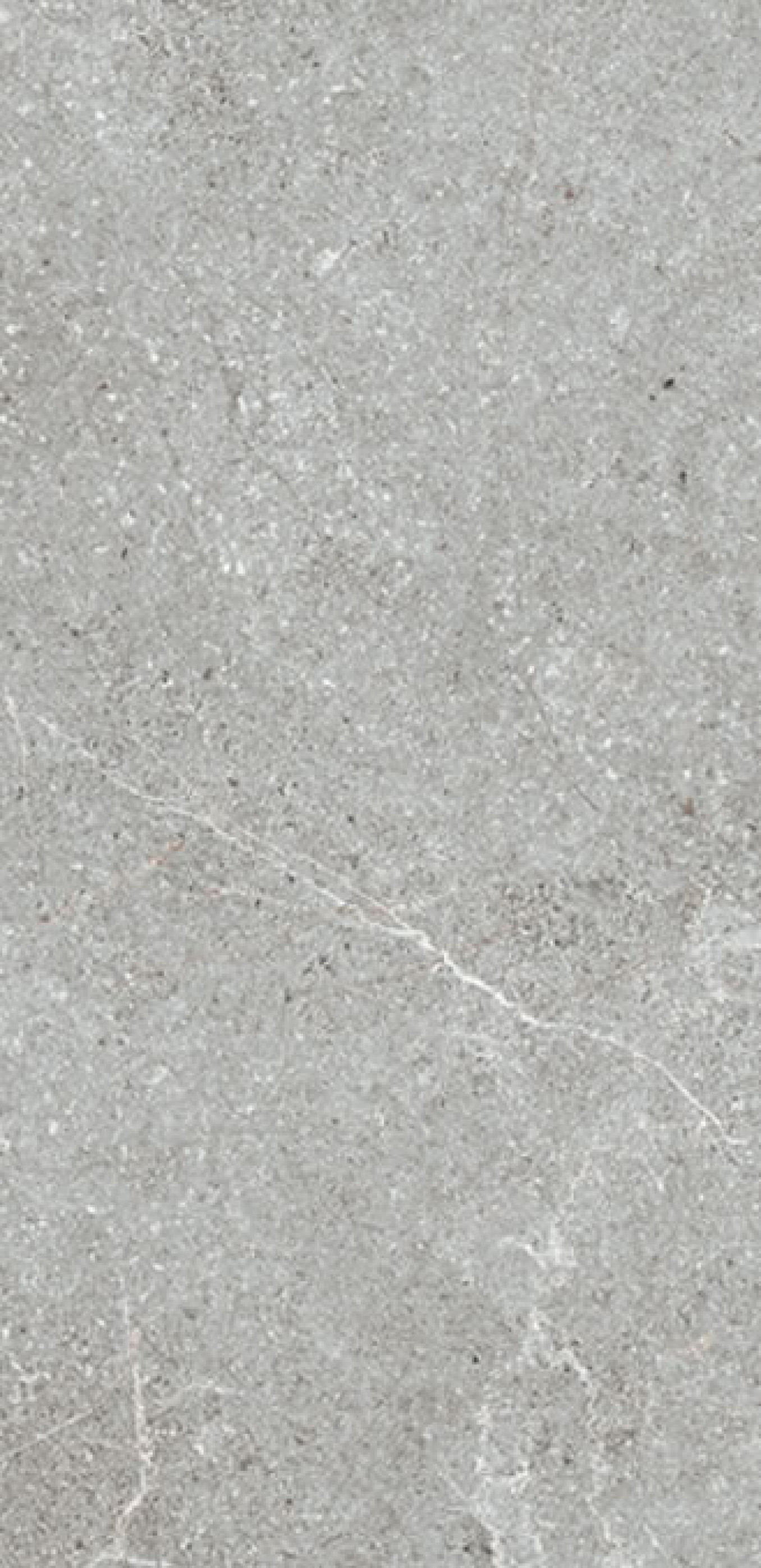 BAREDO grey matt 59.8x119.8 rett SD