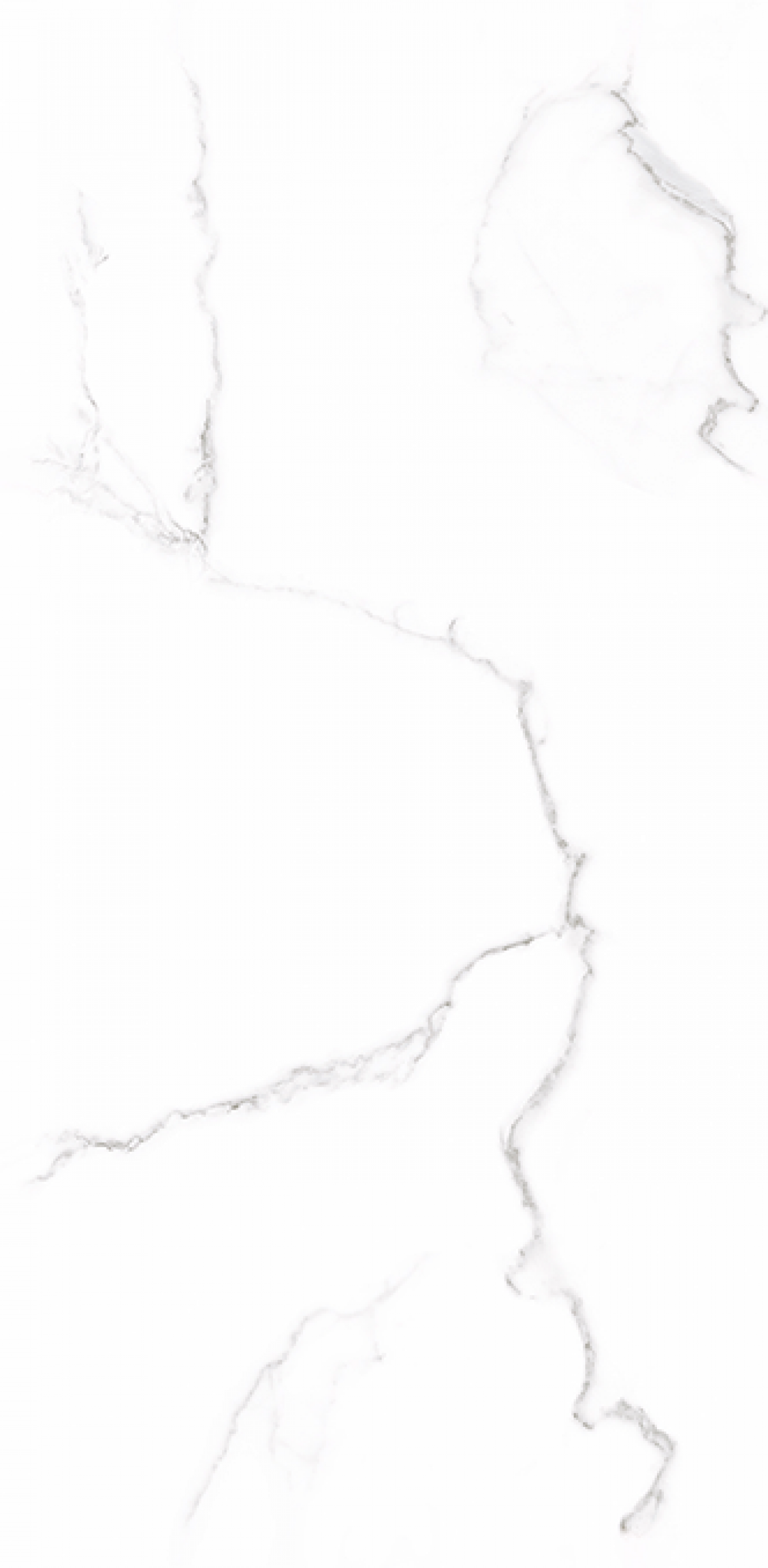 GPT1118 white silver matt 59.8x119.8 rett S