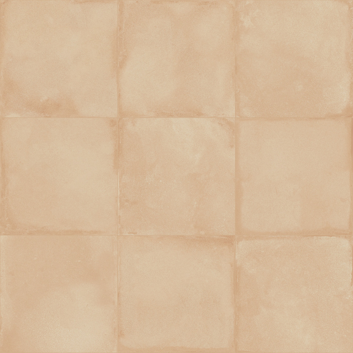 AMURI biscotto 20x20