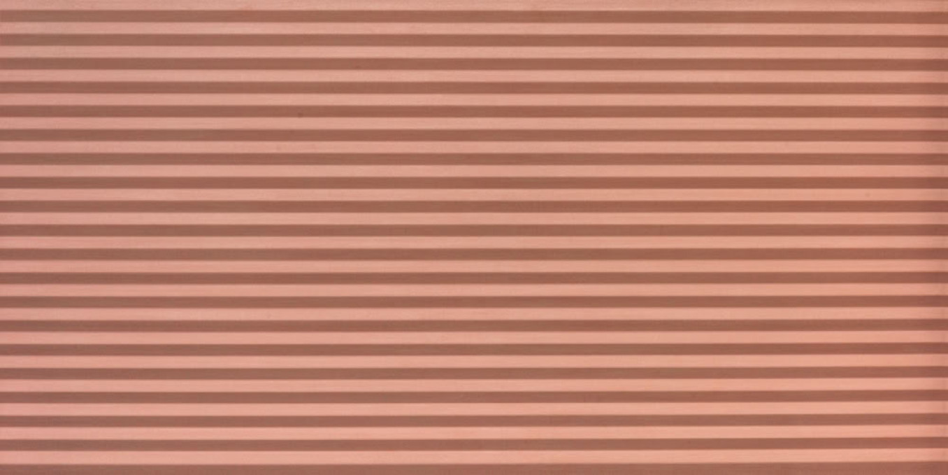 HOMEY cannete rose 60x120 rett