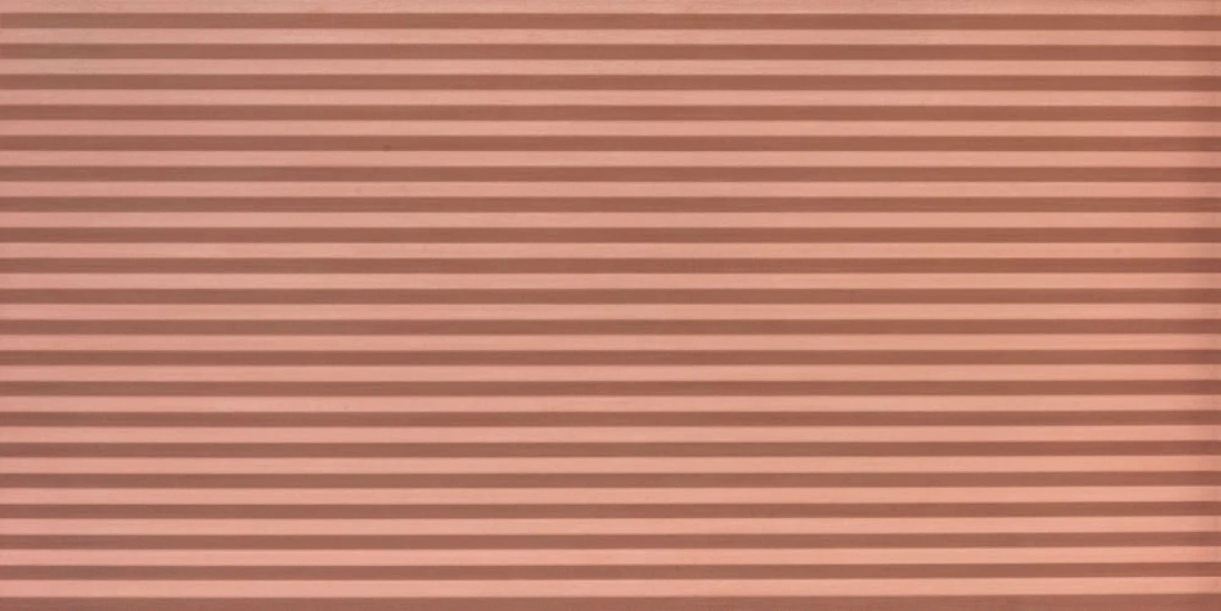 HOMEY cannete rose 60x120 rett