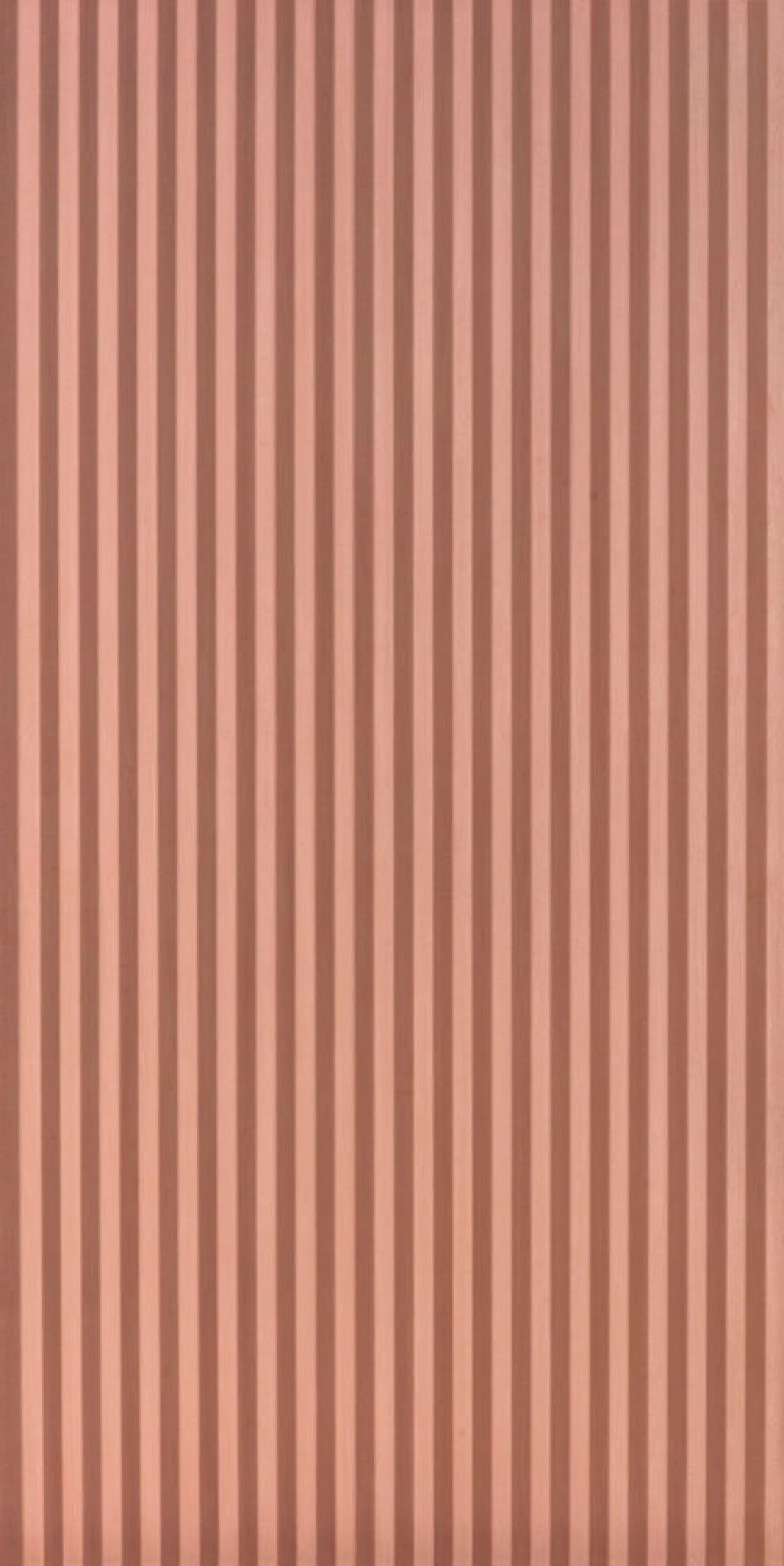 HOMEY cannete rose 60x120 rett