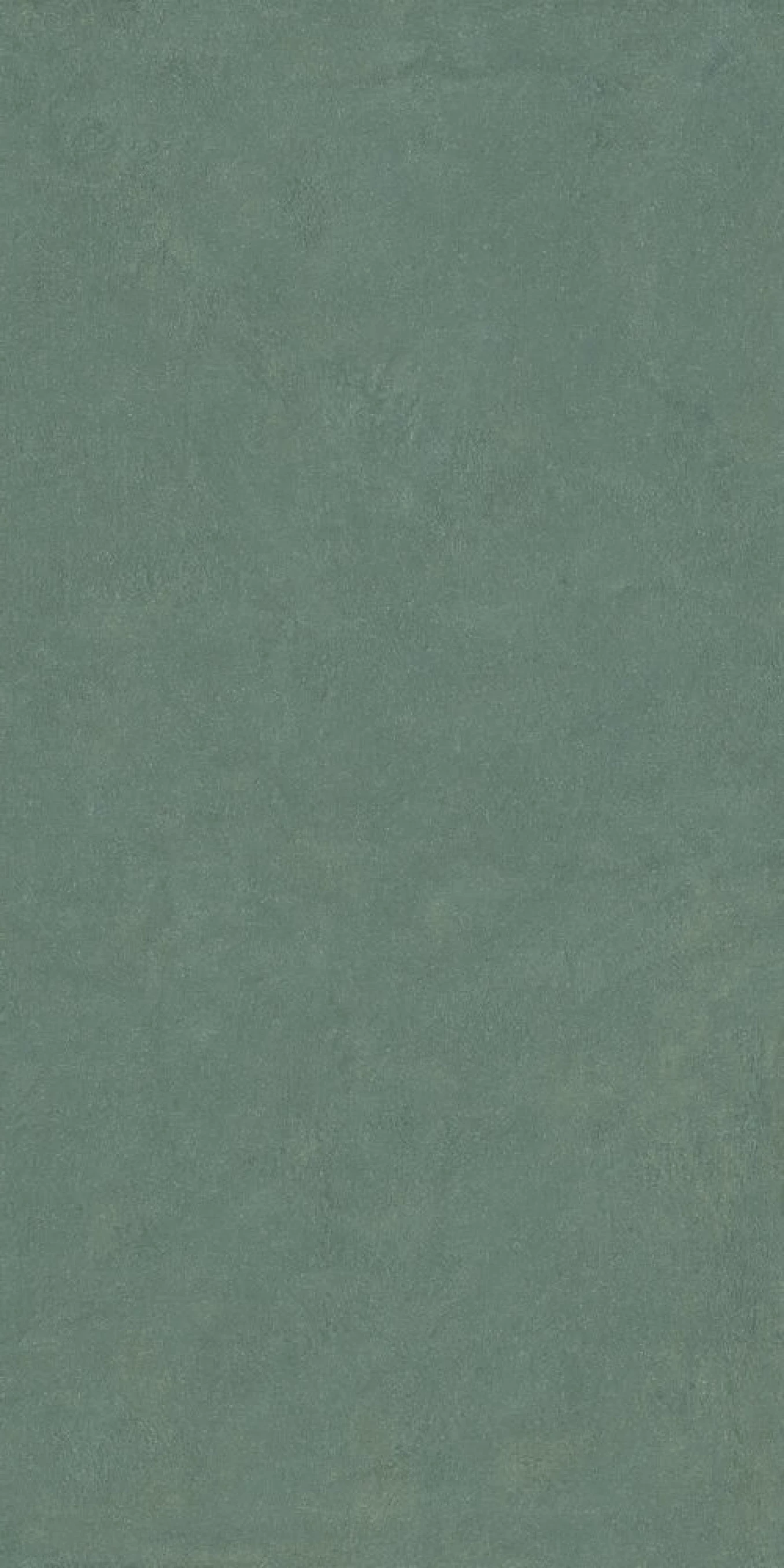 HOMEY sage 60x120 rett