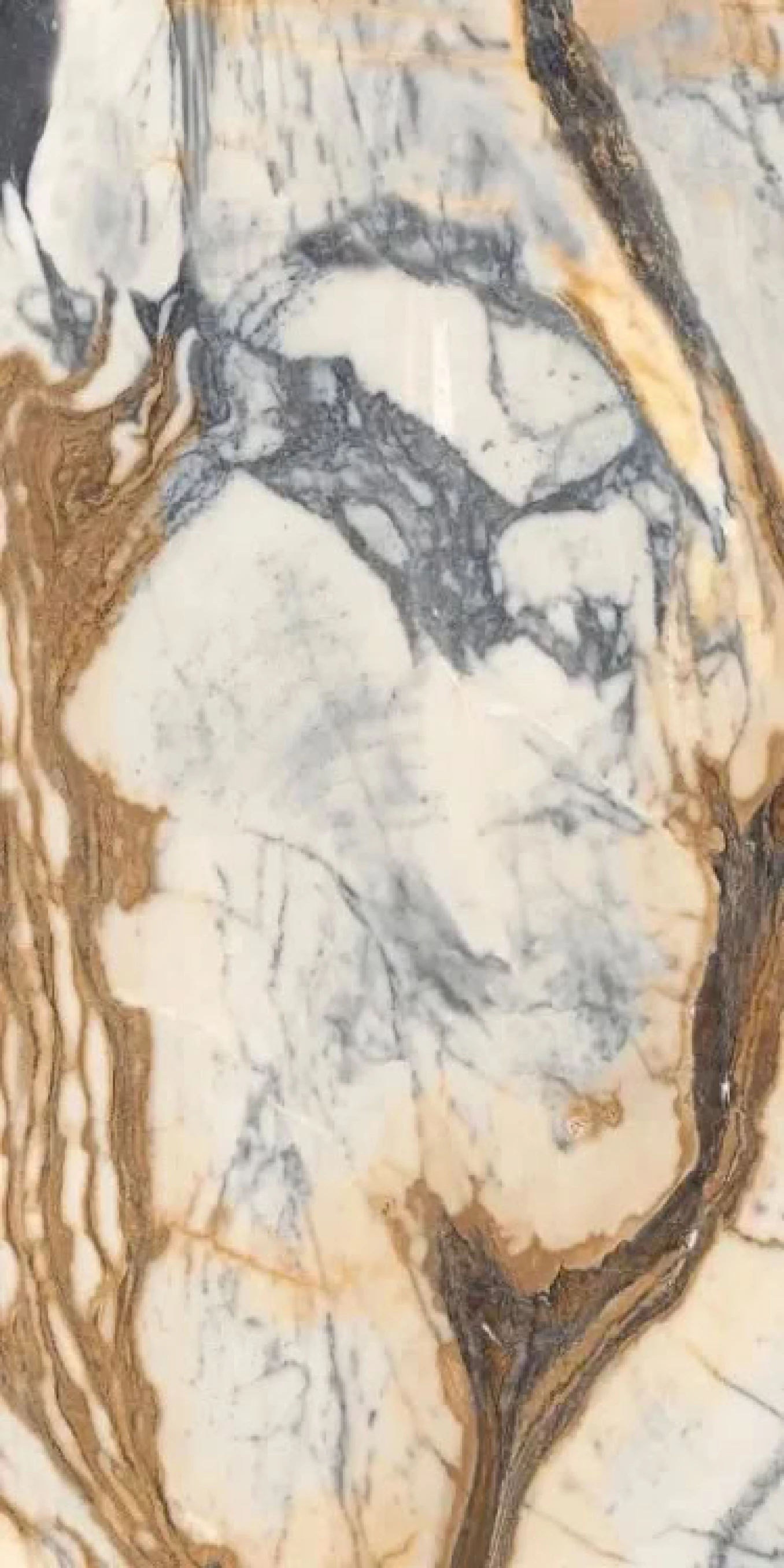 THE ROOM CAL PI6 278 LPM 120x278 rett