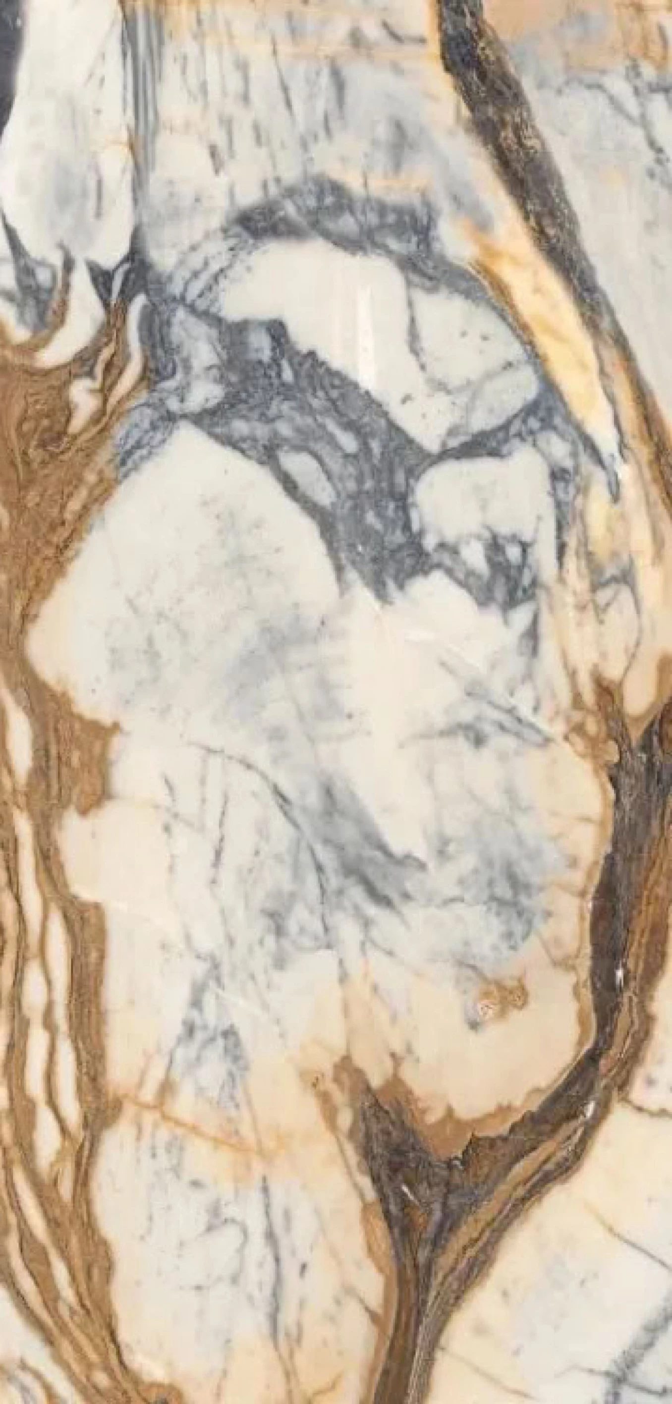 THE ROOM CAL PI6 278 LPM 120x278 rett