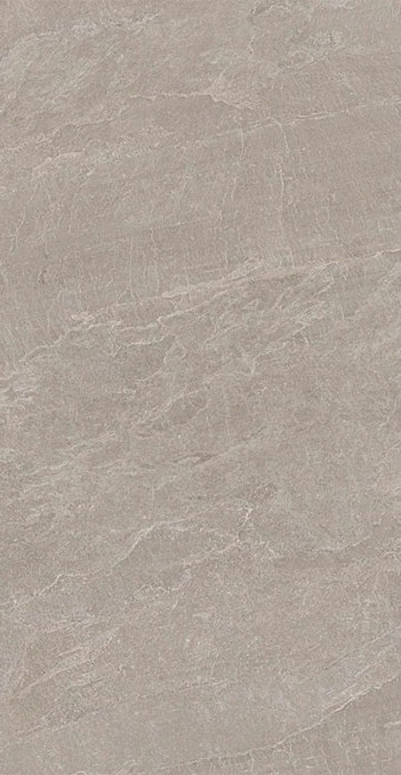 DEEPSTONE taupe 60x120 rett