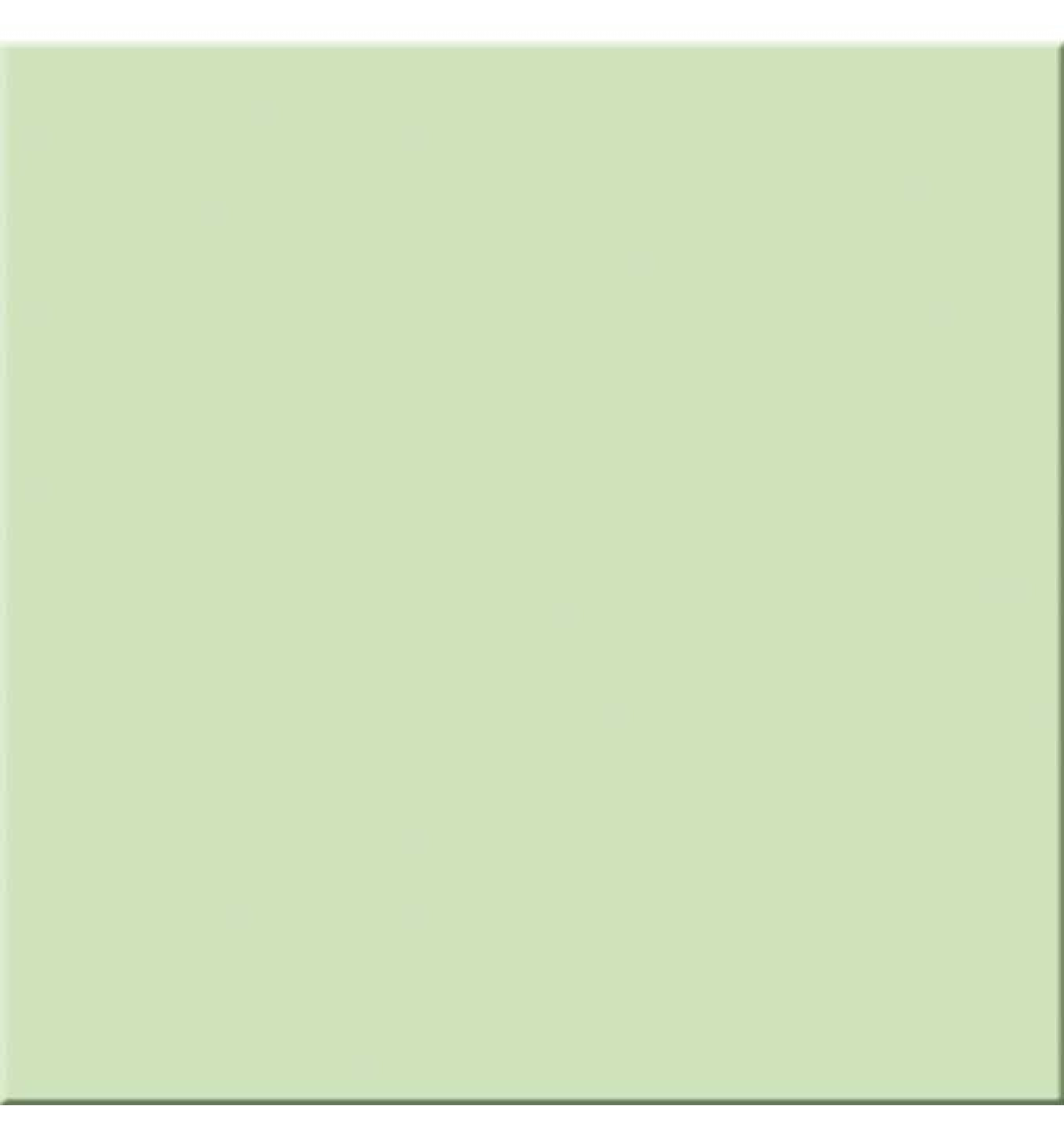 MINT ZELENA mat 20x20 50
