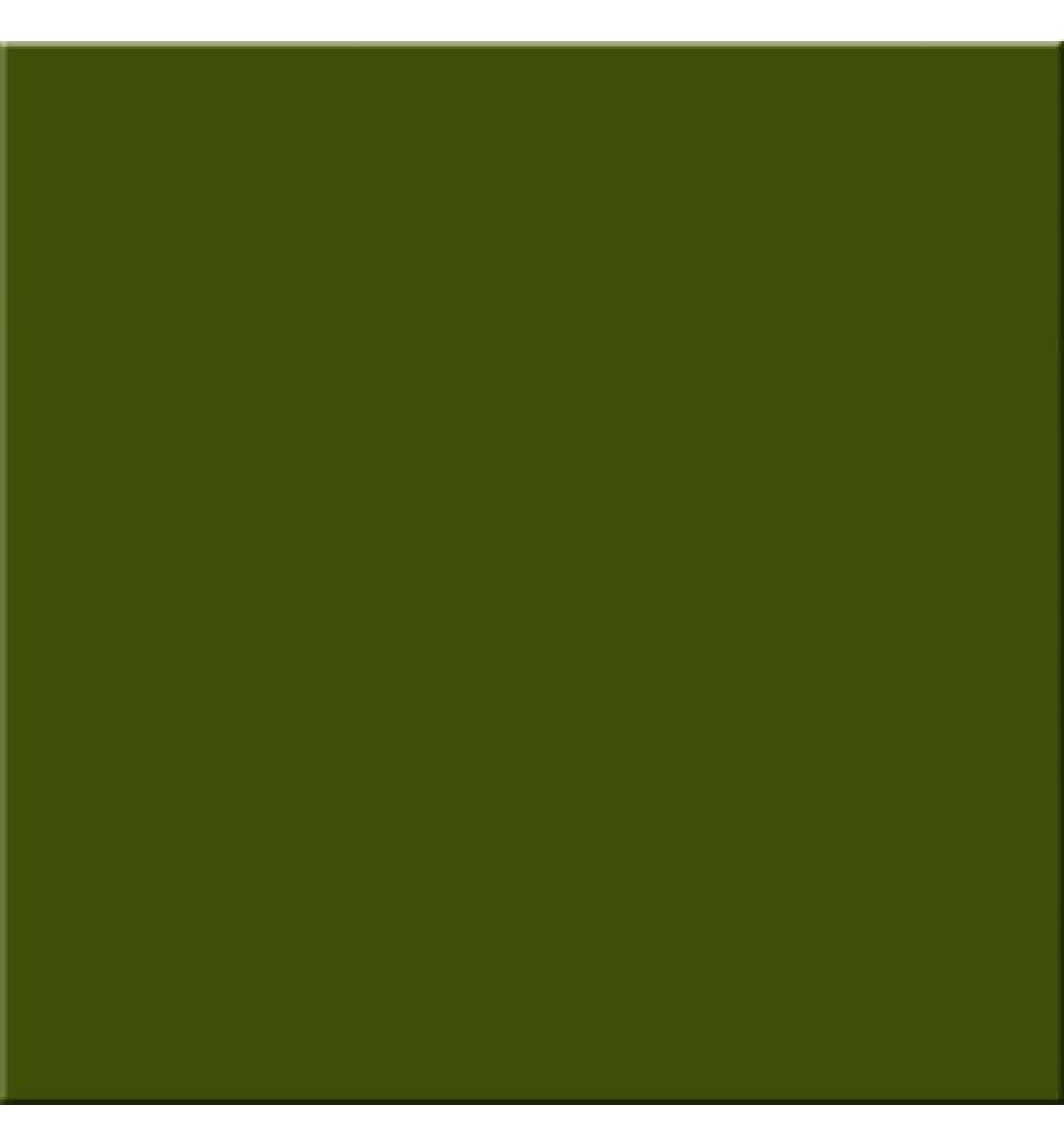 ZELENA mat 20x20 50