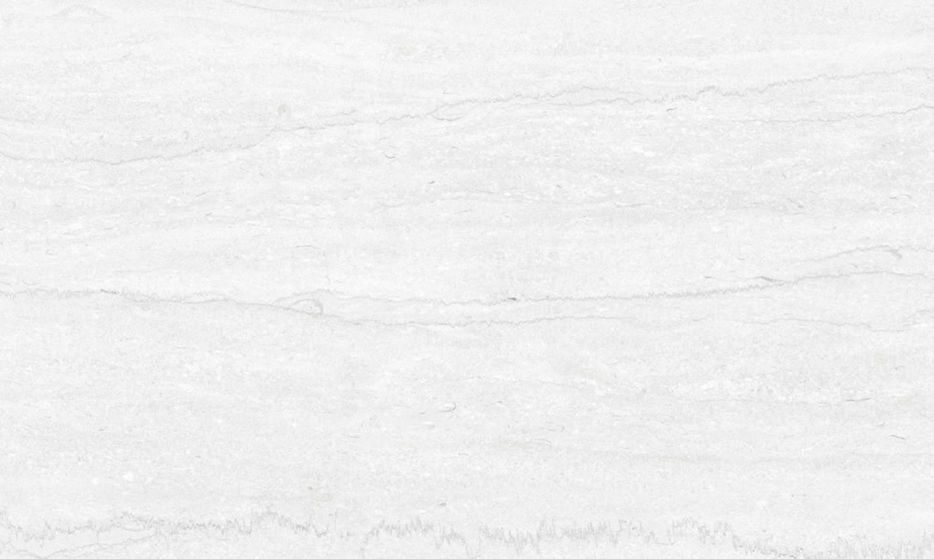 PORTLAND white matt 33x55 QA02 1A